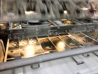 Krystyna Dul "Resonance" - druk proofingowy, offset